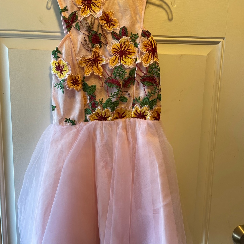 Pale Pink Miss Behave Girls Floral Embroidered dress Size 8